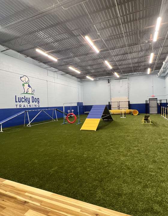 Inside the Lucky Dog Training facility in North Canton, Ohio, with turf flooring and space for socialization and confidence-building exercises